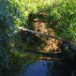 Εξοχικό σπίτι Agriturismo Masseria I Risi *