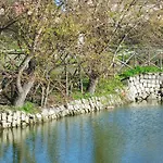 Agriturismo Masseria I Risi Εξοχικό σπίτι