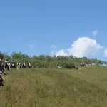 Agriturismo Masseria I Risi Εξοχικό σπίτι *