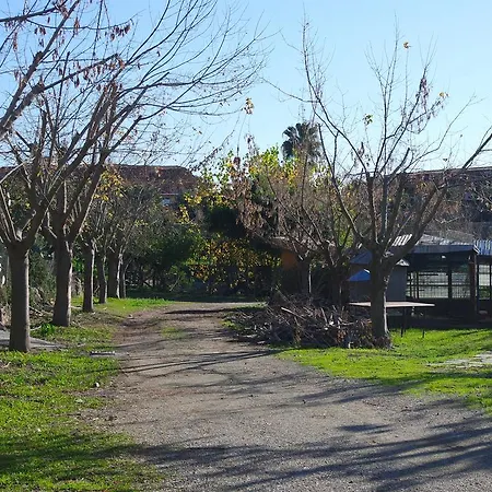 Agriturismo Masseria I Risi בית כפרי SantʼEufemia Lamezia