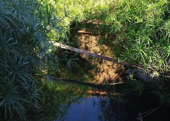 בית כפרי Agriturismo Masseria I Risi *