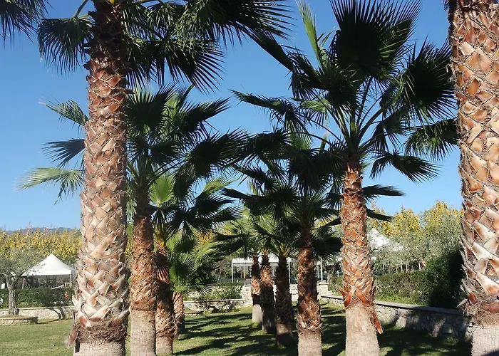 Agriturismo Masseria I Risi * SantʼEufemia Lamezia