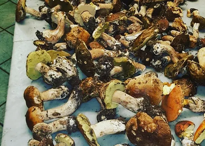 בית כפרי Agriturismo Masseria I Risi