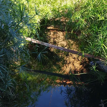 Landhaus Agriturismo Masseria I Risi *