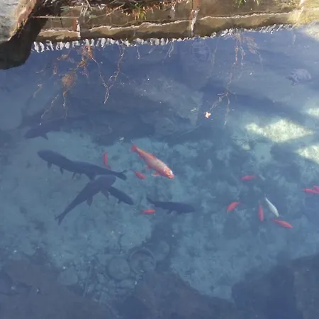 Landhaus Agriturismo Masseria I Risi