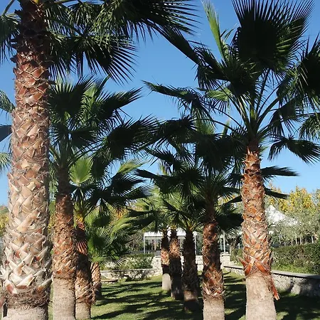 Agriturismo Masseria I Risi * سانت أوْفيمِيا لاميتْسْيا