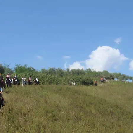Agriturismo Masseria I Risi Casa di campagna *