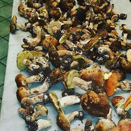 منزل ريفي Agriturismo Masseria I Risi