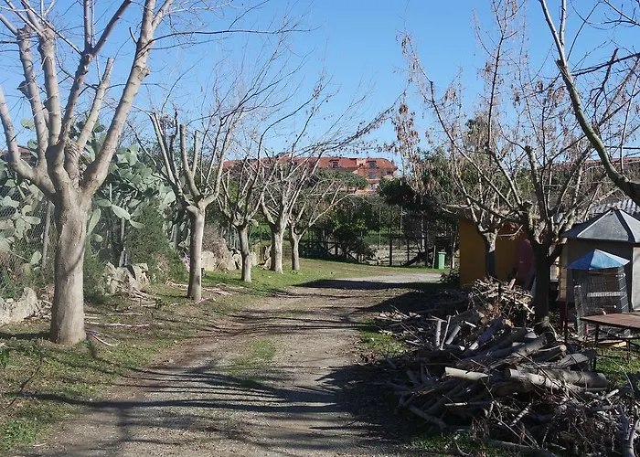 Agriturismo Masseria I Risi * SantʼEufemia Lamezia