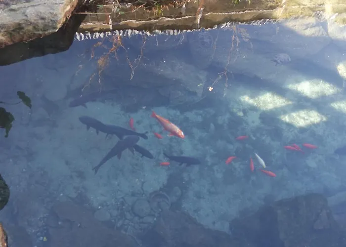 Casa de Campo Agriturismo Masseria I Risi