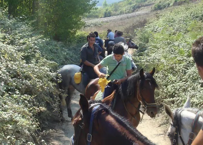 Agriturismo Masseria I Risi *